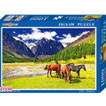 1000PCS Puzzle 100416